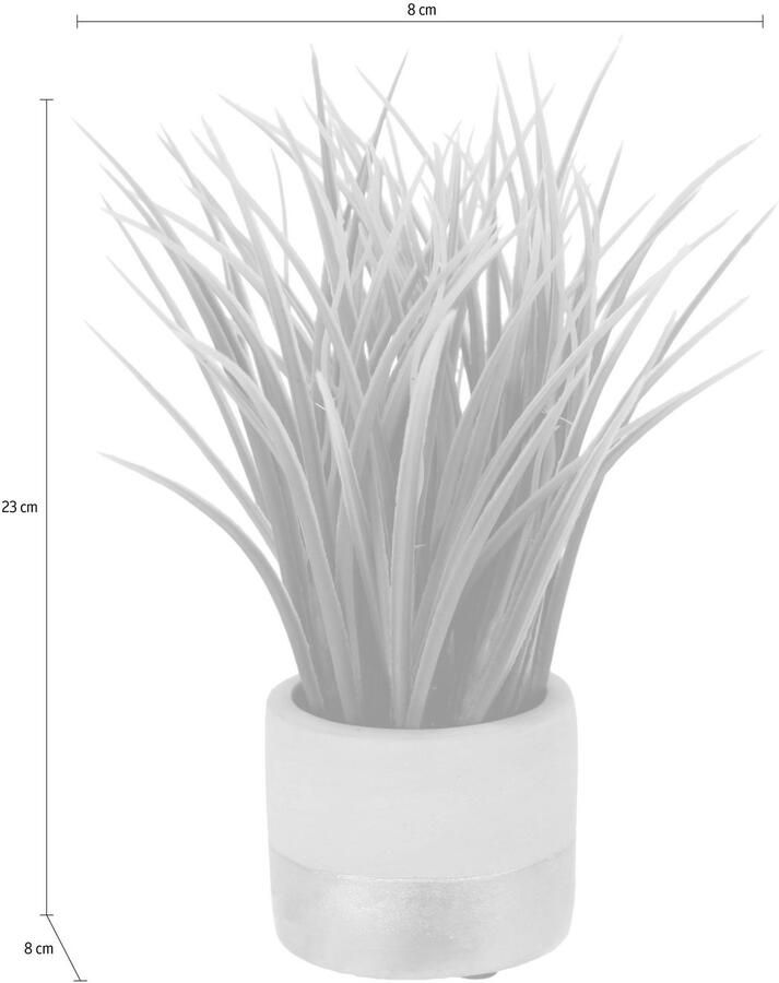 I.GE.A. Kunstgras in de cementpot (set 2 stuks)