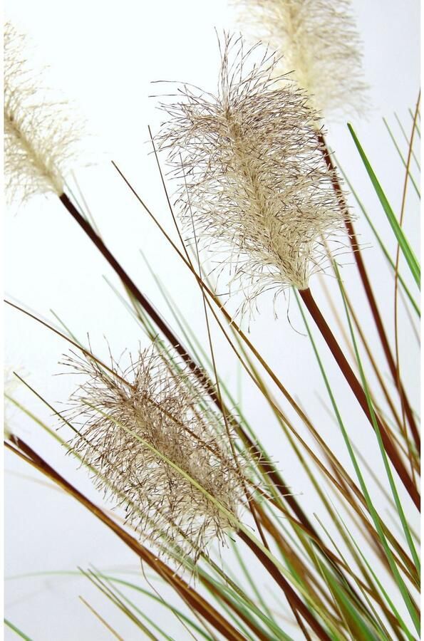 I.GE.A. Kunstgras Pampasgras in een plastic pot (1 stuk)
