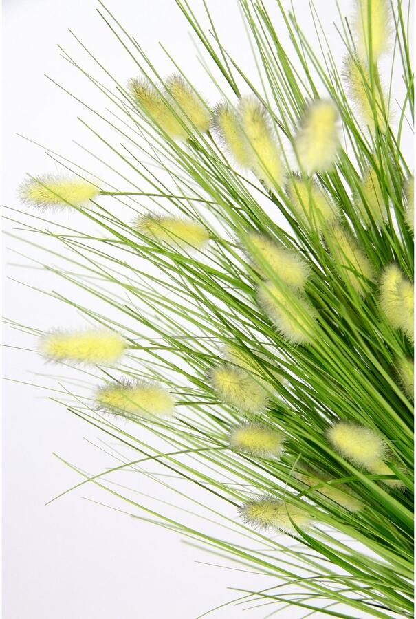 I.GE.A. Kunstgras Vossenstaart (1 stuk)