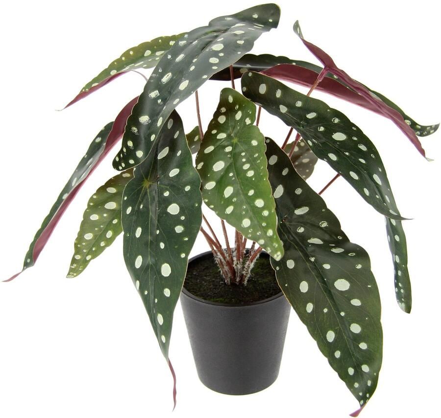 I.GE.A. Kunstplant Begoniastruik In pot zijdenbloemen Real Touch kunstplanten