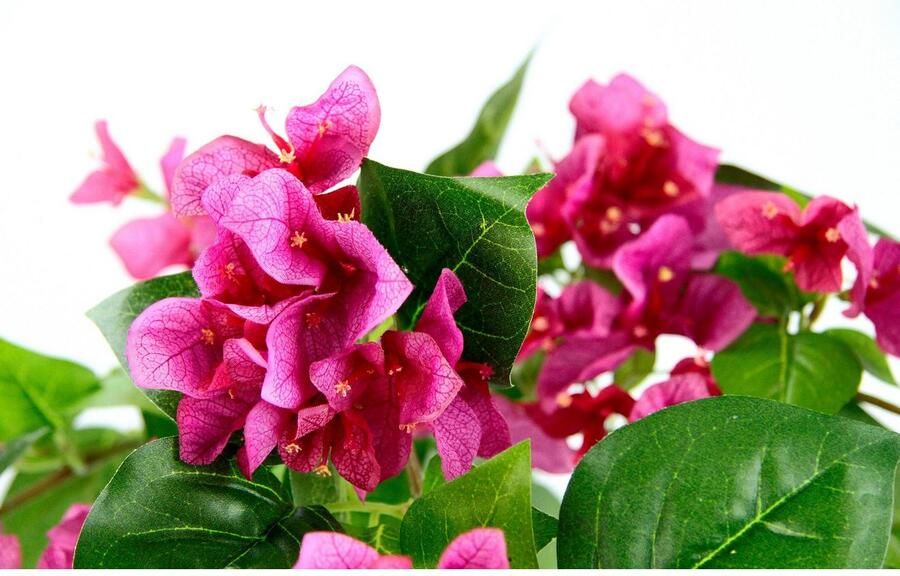 I.GE.A. Kunstplant Bougainville in een plastic pot (1 stuk)