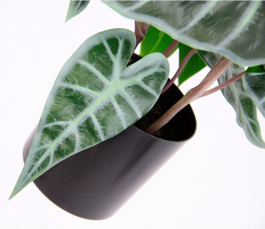 I.GE.A. Kunstplant Calathea Kunstplant zijden bloemen kamerplant Zebrina Alocasia Sanderiana (1 stuk)
