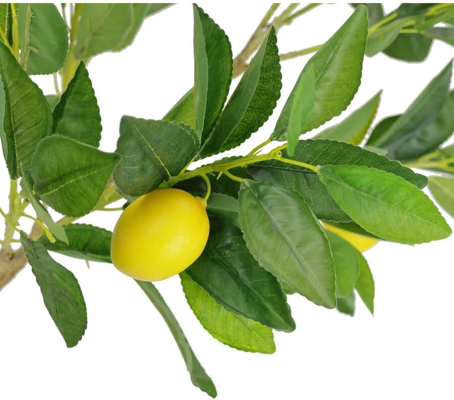 I.GE.A. Kunstplant Citroenboom in pot Kunstboom kamerplant (1 stuk)