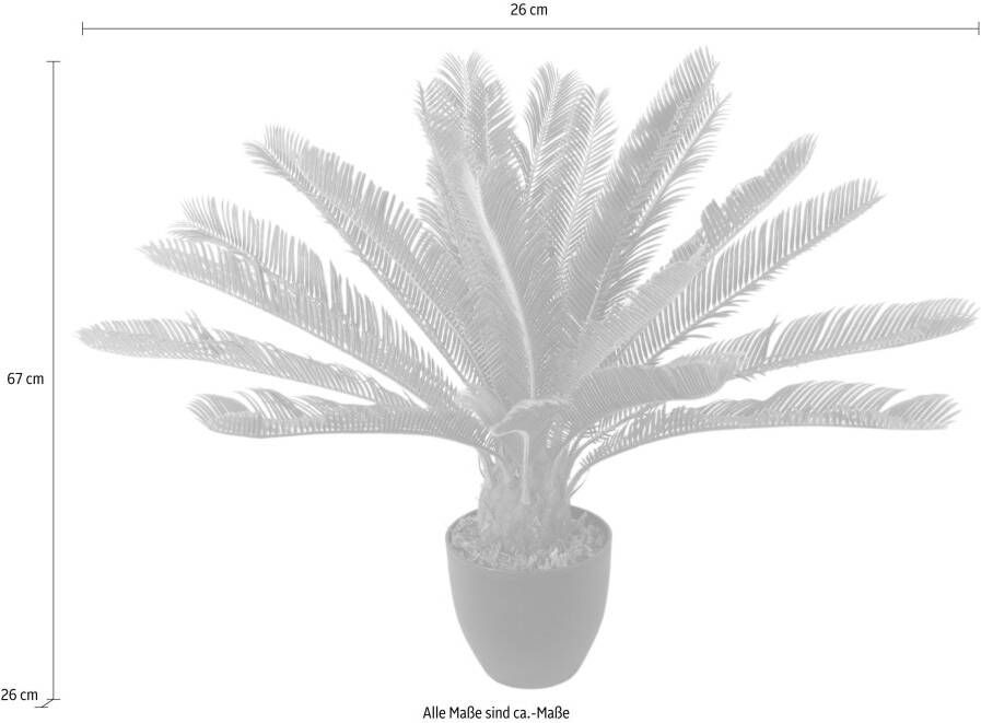 I.GE.A. Kunstplant Cycaspalm in pot (1 stuk)