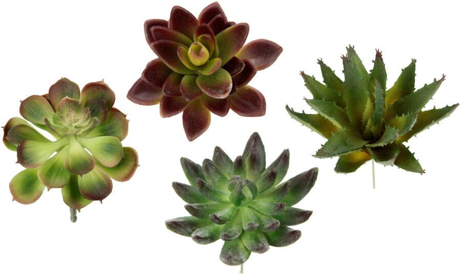 I.GE.A. Kunstplant Decoratieve vetplanten set van 4 kunstplanten vetplanten aloe agave cactus (4 stuks)