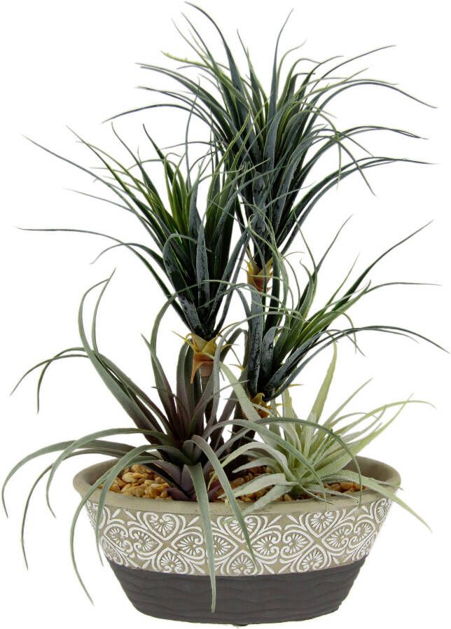 I.GE.A. Kunstplant Dracena Tillandsia In sierpot van keramiek