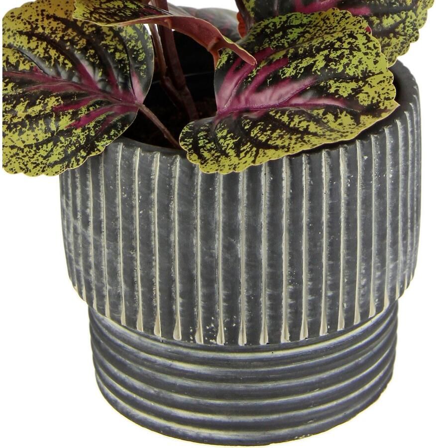 I.GE.A. Kunstplant Dwergpeper Met overpot peperomie kunstplant herfstdecoratie (2 stuks)