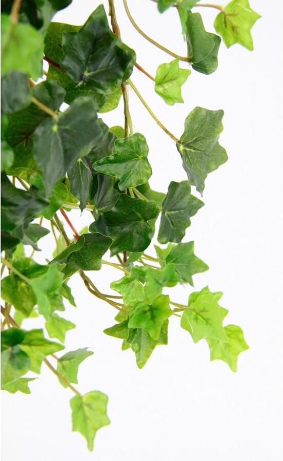 I.GE.A. Kunstplant Efeuhanger (2 stuks)