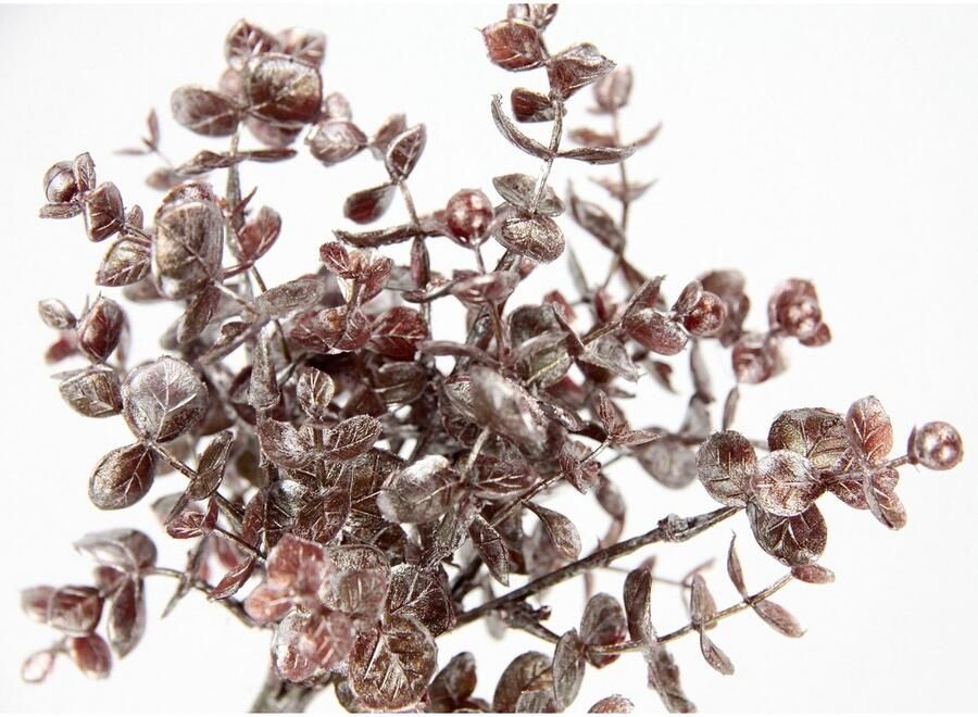 I.GE.A. Kunstplant Eucalyptus kunstmatige eucalyptus tak decoratieve tak 2-delige set (2 stuks)