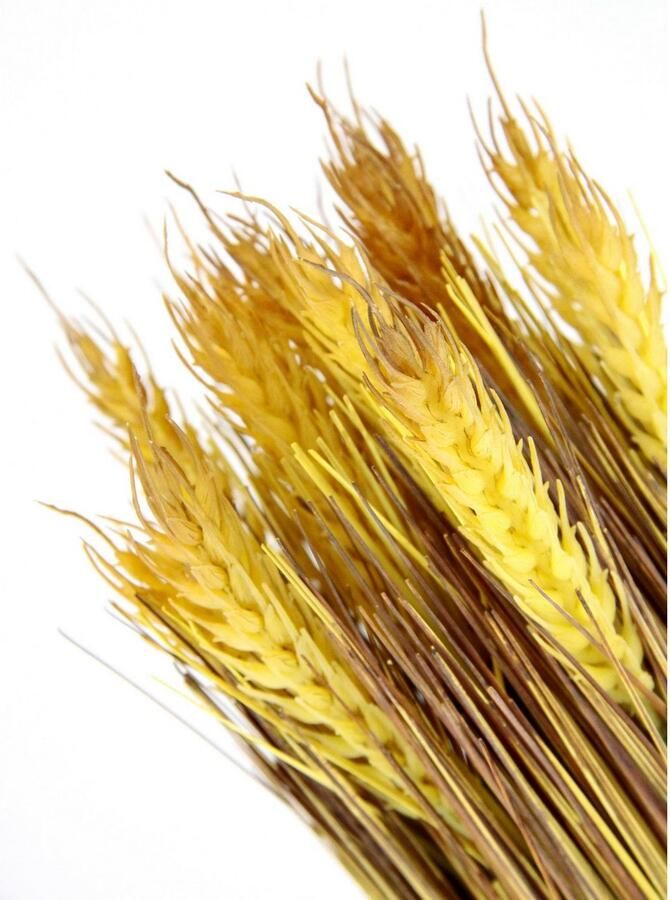 I.GE.A. Kunstplant Gedroogde tarwe (1 stuk)