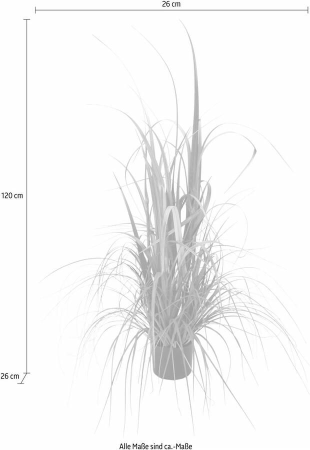 I.GE.A. Kunstplant Gras in pot (1 stuk)