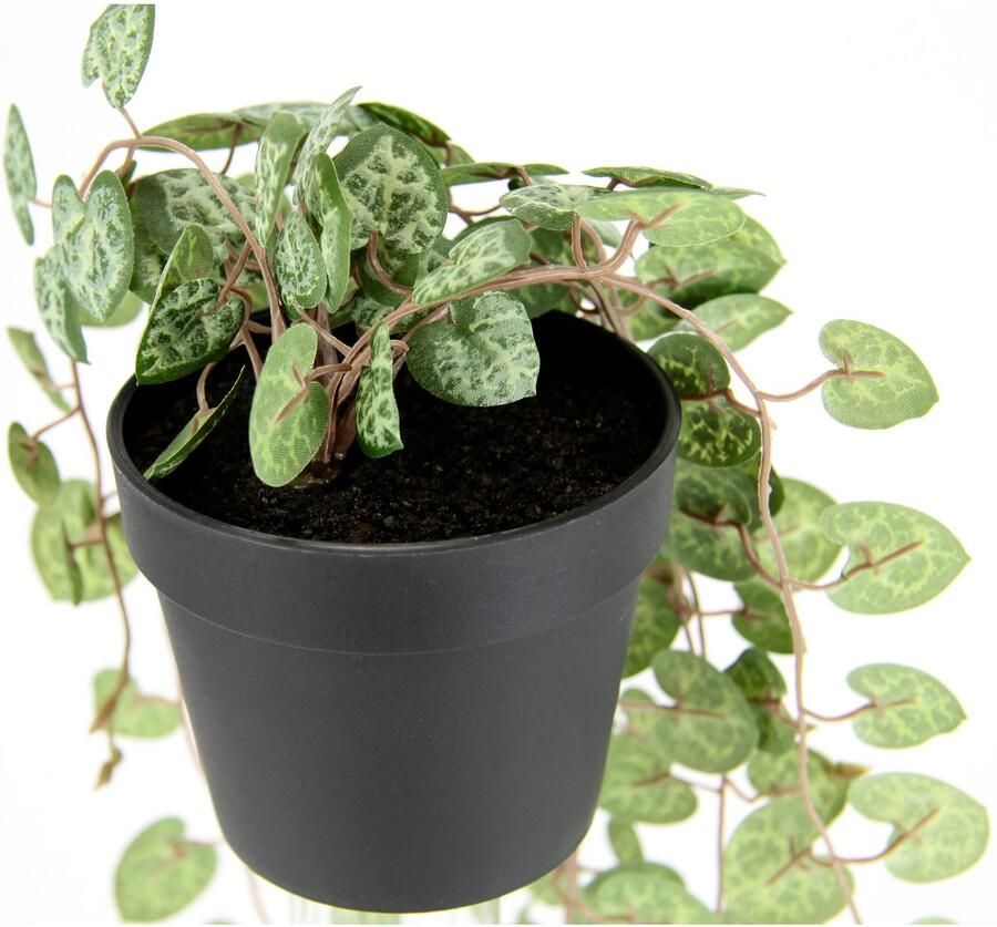 I.GE.A. Kunstplant kroonluchter bloem hangende planten kunstmatig Hangende struik rank guirlande bloemenampel decoratie groene plant kunstbloemen (1 stuk)