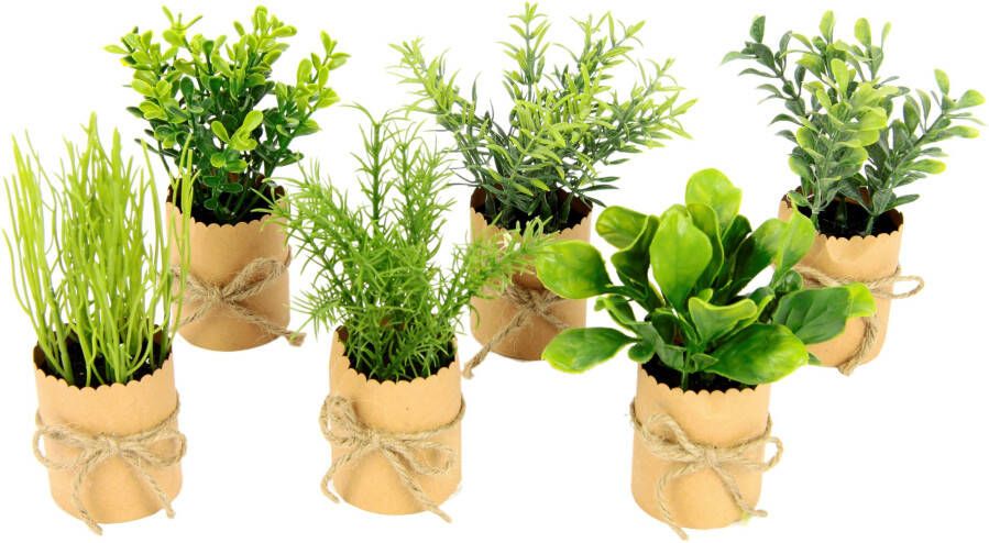 I.GE.A. Kunstplant Kruidenassortiment in papieren pot met juteband set van 6 (6 stuks)