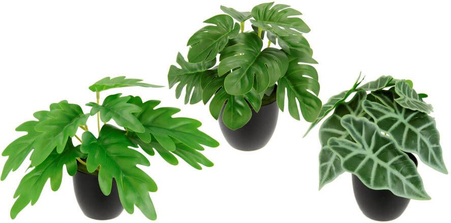 I.GE.A. Kunstplant Kunstmatig kamerplanten-set In pot 3-delige set groene planten kamerplant monstera philo calathea