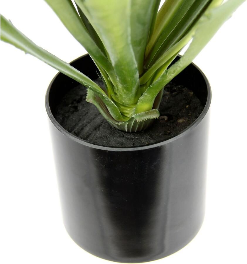 I.GE.A. Kunstplant Kunstmatige agave aloe vera in pot kunstplant (1 stuk)
