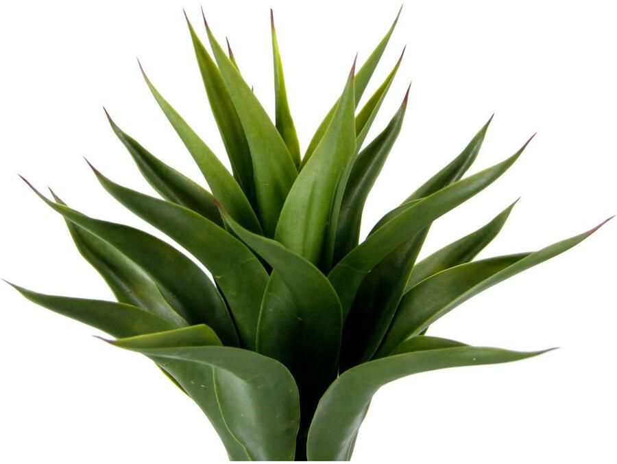 I.GE.A. Kunstplant Kunstmatige Agave in pot plant Aloë Vera Sansevieria (1 stuk)