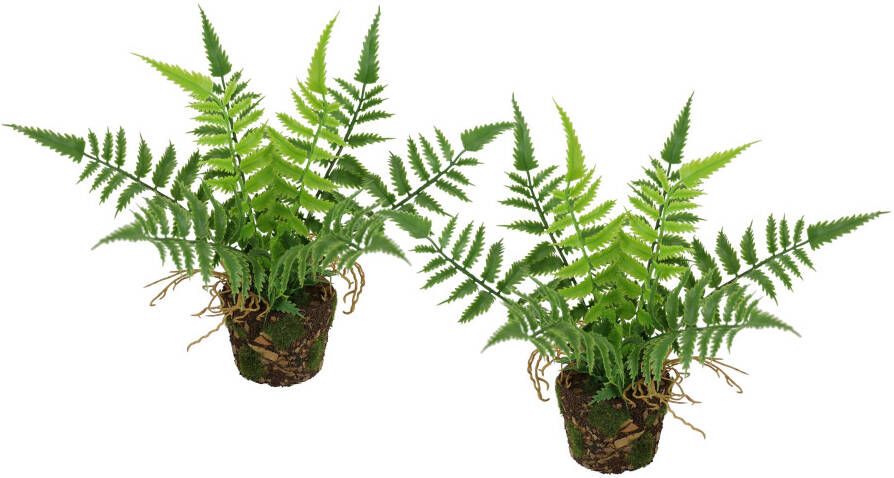 I.GE.A. Kunstplant Kunstmatige bosvaren in pot 2-delige set varenstruiken plant decoratie groenplant bosplant kamerplant