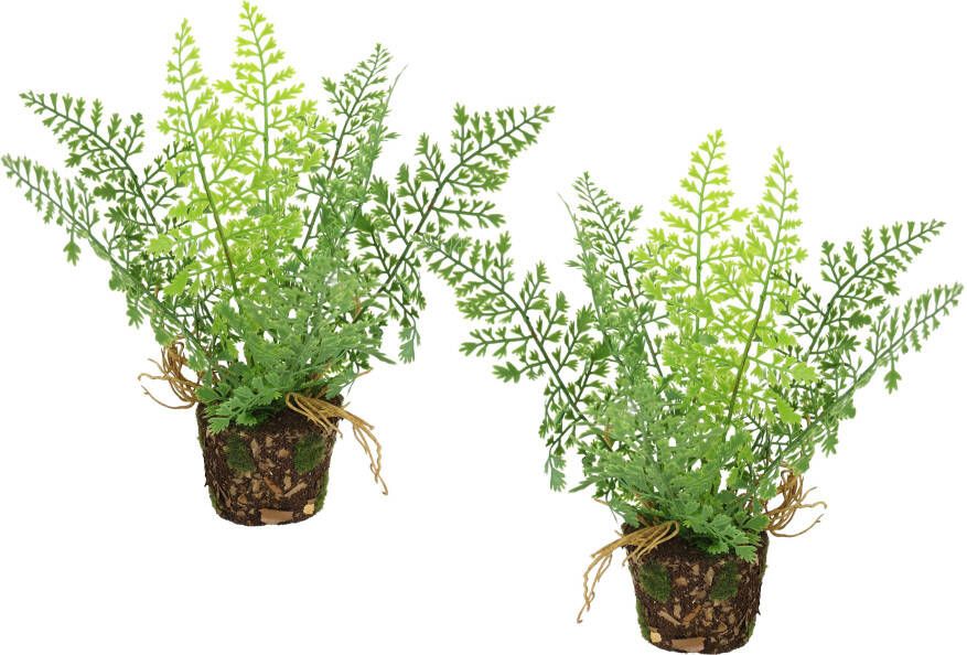 I.GE.A. Kunstplant Kunstmatige bosvaren in pot 2-delige set varenstruiken plant decoratie groenplant bosplant kamerplant