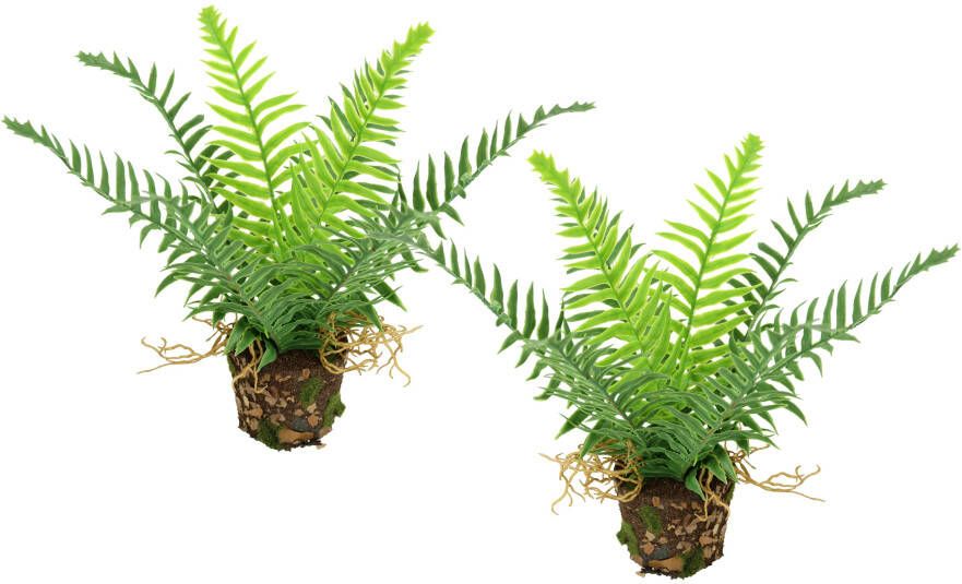 I.GE.A. Kunstplant Kunstmatige bosvaren in pot 2-delige set varenstruiken plant decoratie groenplant bosplant kamerplant