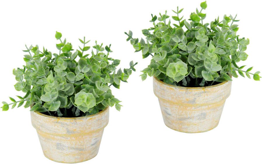 I.GE.A. Kunstplant Kunstmatige eucalyptus in pot 2-pack plant Decoratieve bloem voor bruiloft plasticplant kruiden decoratie-kruiden (2 stuks)