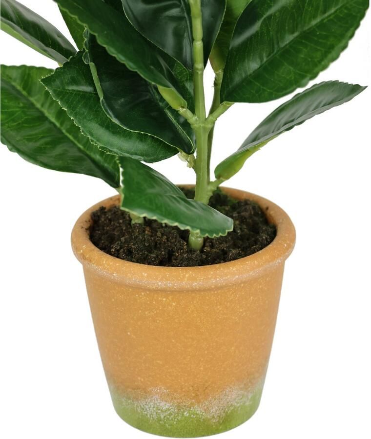 I.GE.A. Kunstplant Kunstmatige mini-citroenboom Levensechte kunstboom boom decoratie fruitboom plant (1 stuk)