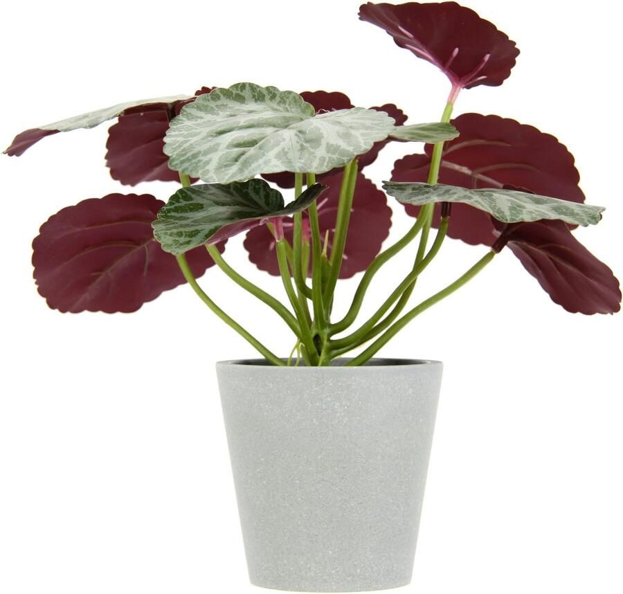 I.GE.A. Kunstplant Kunstmatige plant begonia in pot begonia struik bladplant Balkonplant struik bladeren kunstplant decoratie kunstbloemen potplant (2 stuks)
