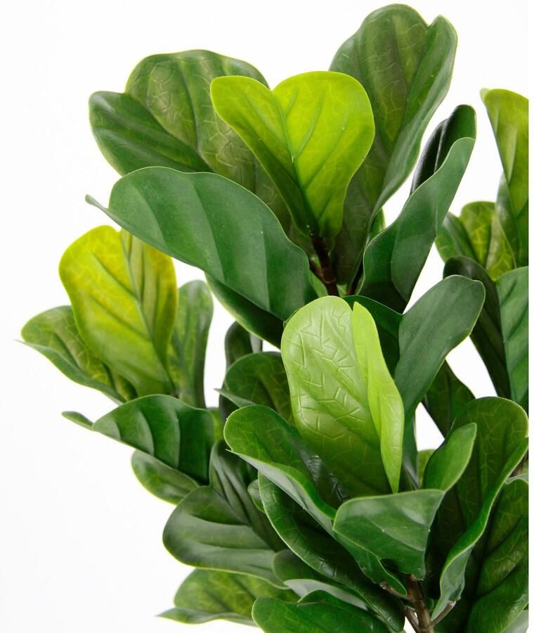 I.GE.A. Kunstplant Kunstmatige plant vijgenboom kunstplant kamerplant groene plant Kunstboom vijgenbladplant vijgenboom plant kunstboom decoratieve plant (1 stuk)