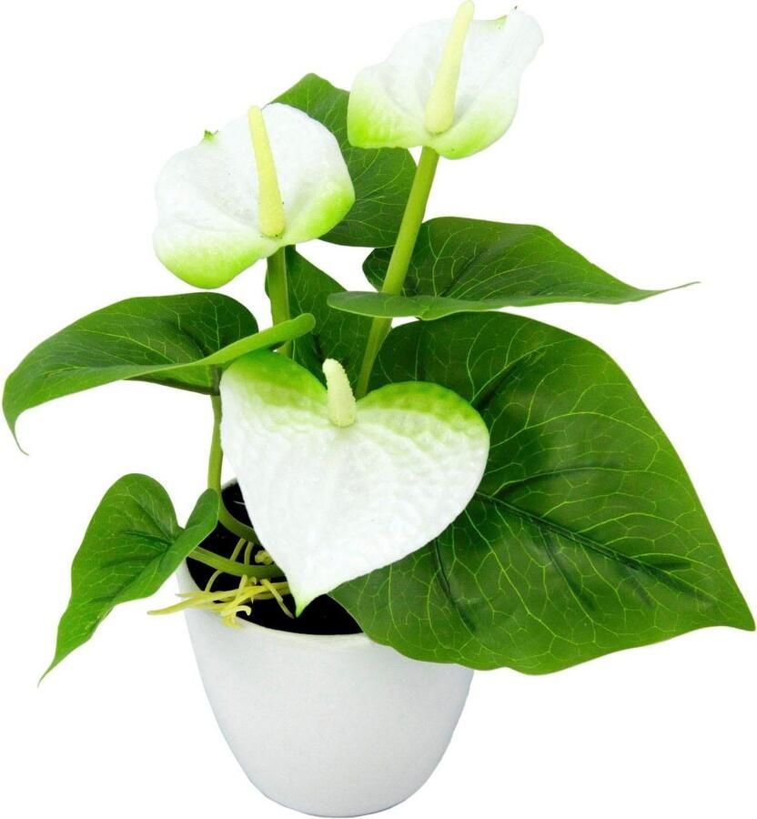 I.GE.A. Kunstplant Mini Anthurie (set 3 stuks)