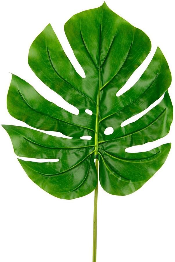 I.GE.A. Kunstplant Monsterablad Monstera kunsttak(5 stuks)
