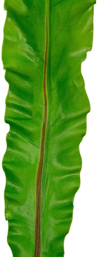 I.GE.A. Kunstplant Nestvarenblad Monstera kunsttak set van 3 (3 stuks)