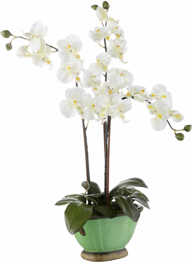 I.GE.A. Kunstplant Orchidee (1 stuk)