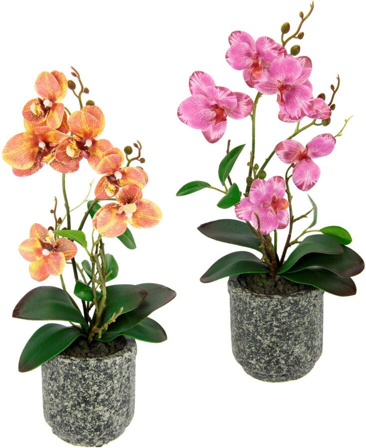 I.GE.A. Kunstplant Orchidee Met bladeren en luchtwortels in een pot van keramiek(2 stuks)