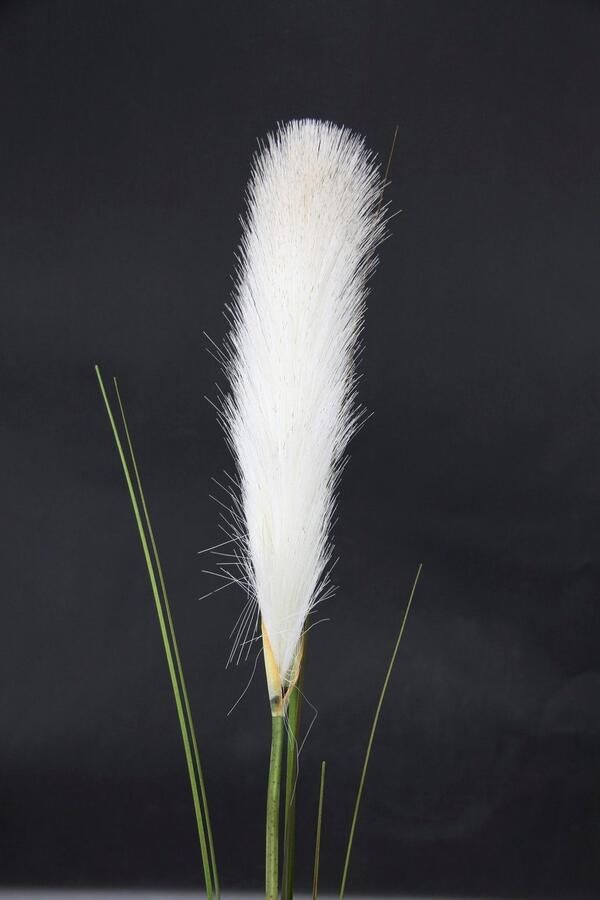 I.GE.A. Kunstplant Pampas Pampasgras boho(2 stuks)