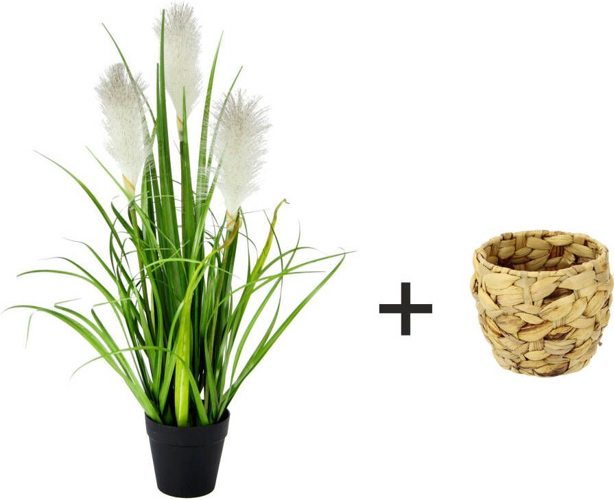 I.GE.A. Kunstplant Pampasgras Met overpot kunstmatig pampasgras