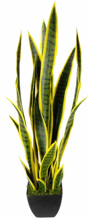 I.GE.A. Kunstplant Sansevieria (1 stuk)