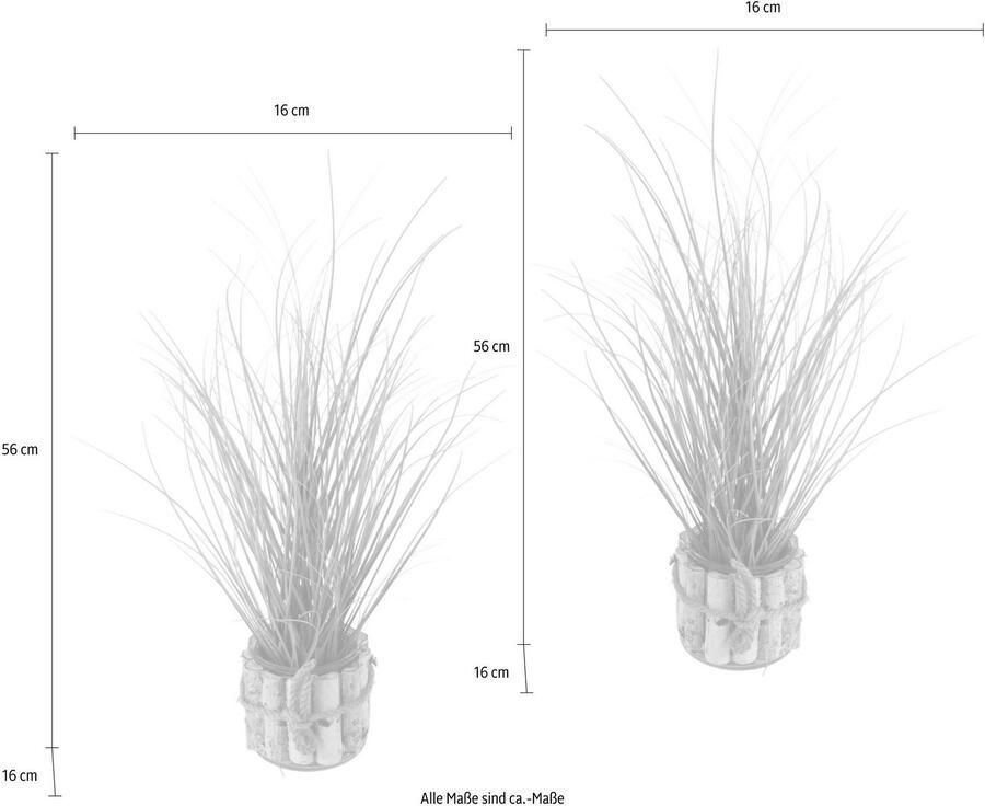 I.GE.A. Kunstplant (set 2 stuks)