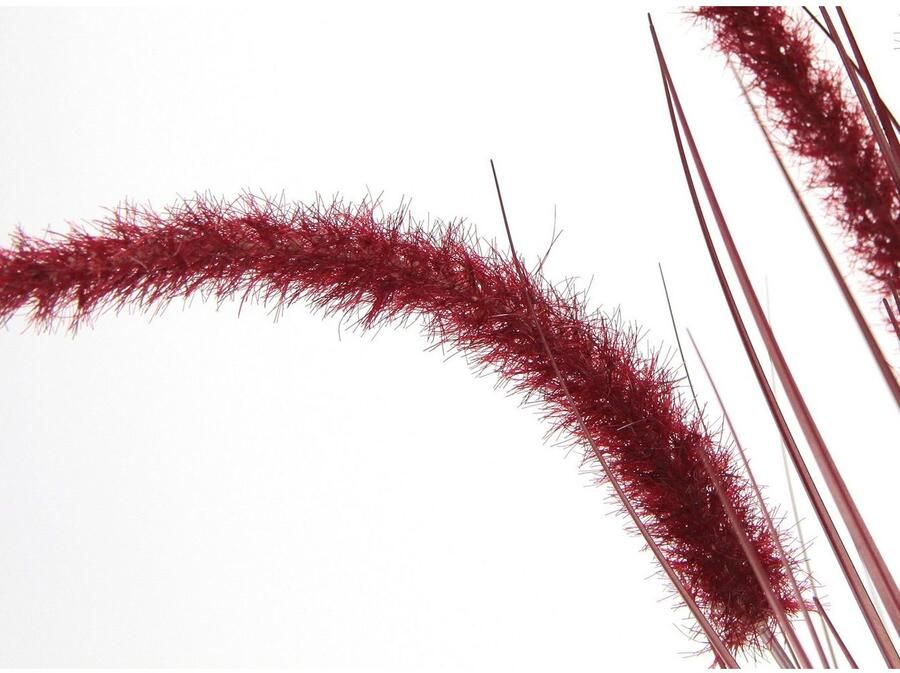 I.GE.A. Kunstplant Vossenstaart Met overpot kunstgras decoratie borstenhirse Panicoideae Setaria (2 stuks)