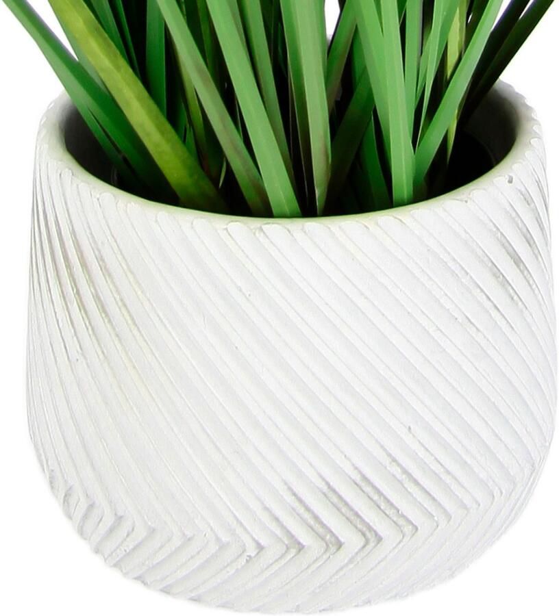 I.GE.A. Kunstplant Vossenstaart Met overpot kunstgras decoratie borstenhirse Panicoideae zoetgrassen Setaria (2 stuks)