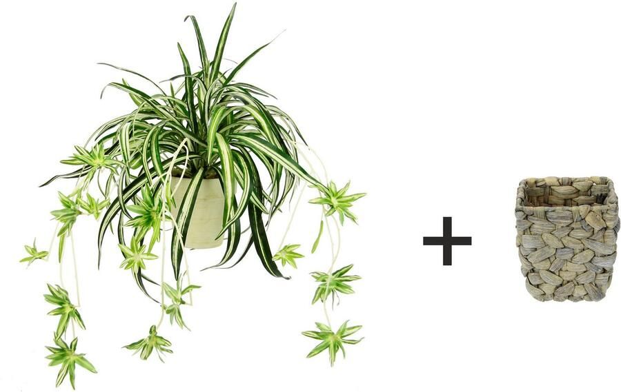 I.GE.A. Kunstplant Waterlelie in de cachepot (1 stuk)