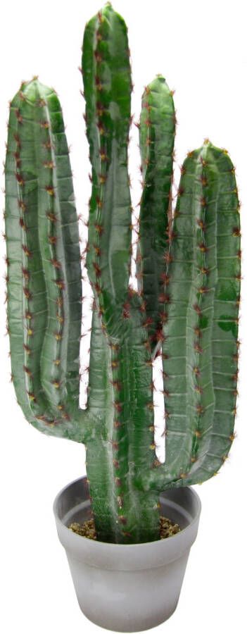 I.GE.A. Kunstplant Zuilcactus 70 cm (1 stuk)