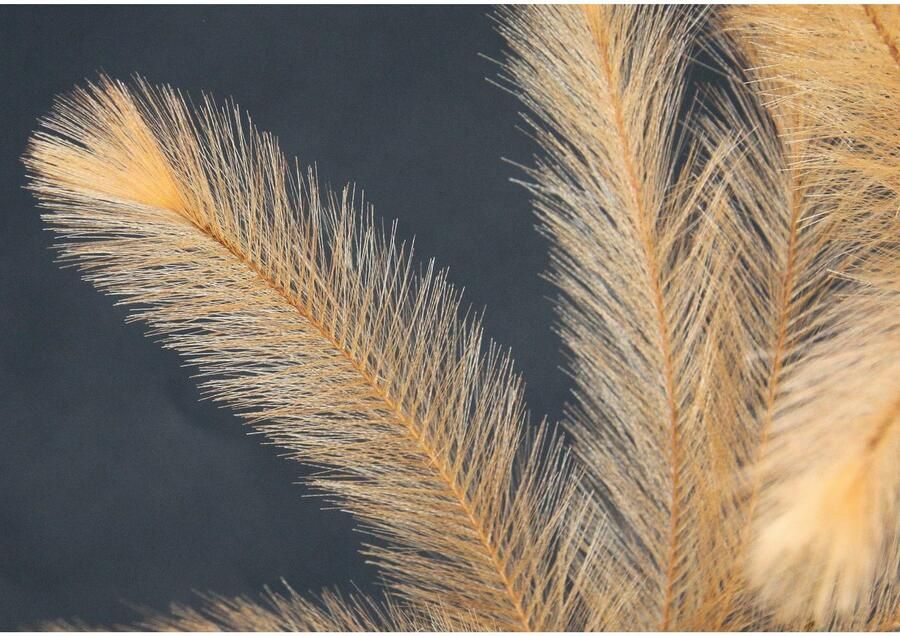 I.GE.A. Kunsttak Decoratieve tak In keramische vaas (1 stuk)