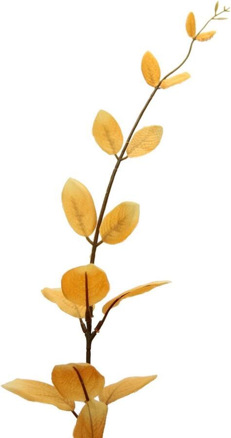 I.GE.A. Kunsttak Eucalyptus (3 stuks)