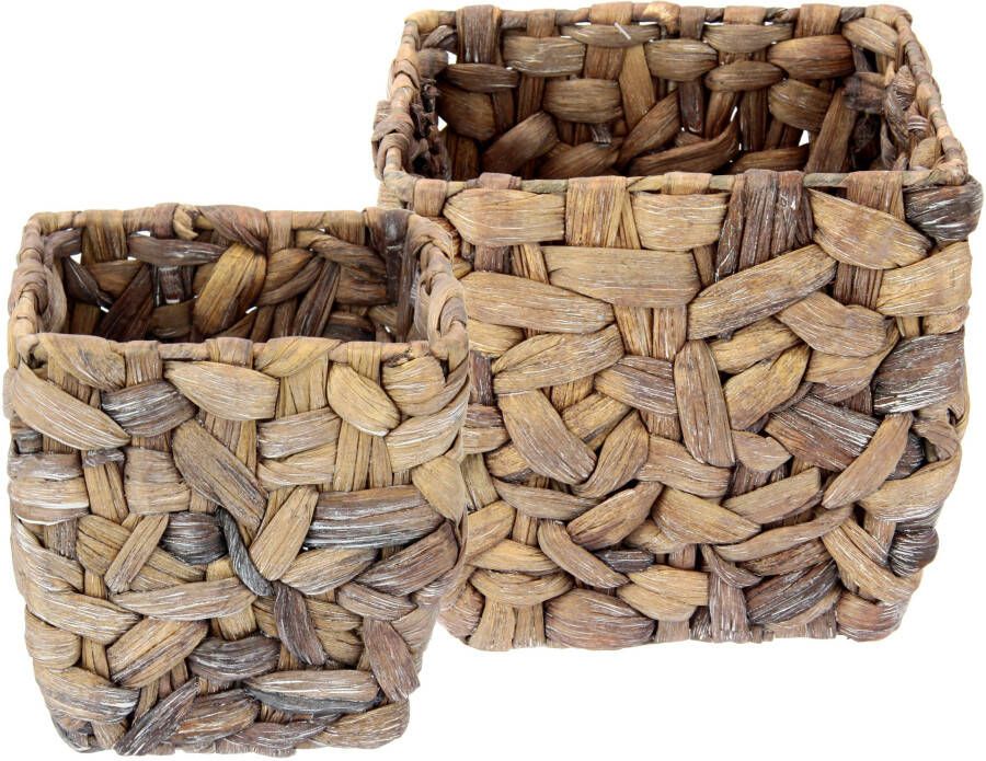 I.GE.A. Pot van waterhyacint