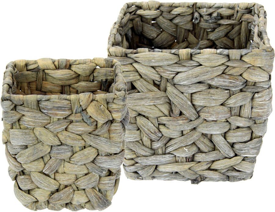 I.GE.A. Pot van waterhyacint