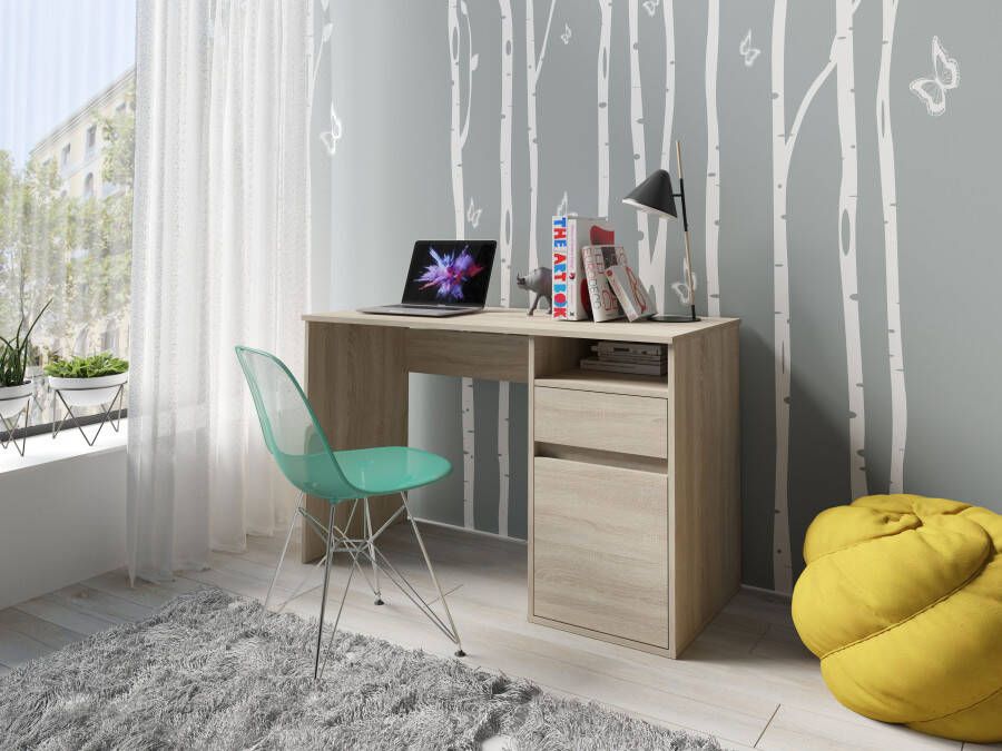 Home affaire Bureau TINSLEY met lade en deur breedte 120 x 53 cm