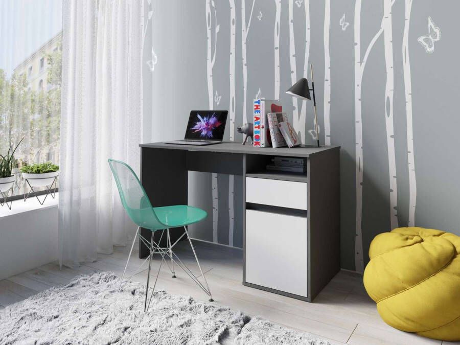 Home affaire Bureau TINSLEY met lade en deur breedte 120 x 53 cm