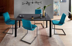 INOSIGN Vrijdragende stoel Napea met mooie zachte fluwelen bekleding in verschillende kleurvarianten (set 2 stuks)