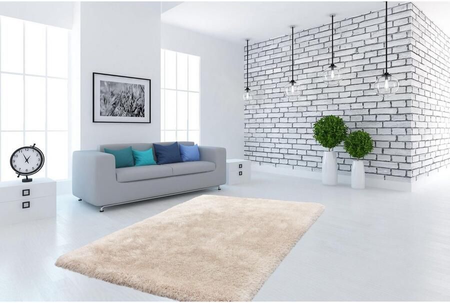 Calo-deluxe Hoogpolig vloerkleed Giora 200 getuft bijzonder zacht door microvezel woonkamer slaapkamer