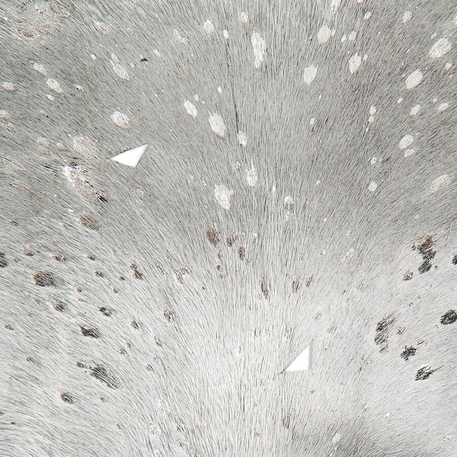 Kayoom Vloerkleed Fly 110 van rundleer stijlvolle luxe accenten geschikt voor vloerverwarming