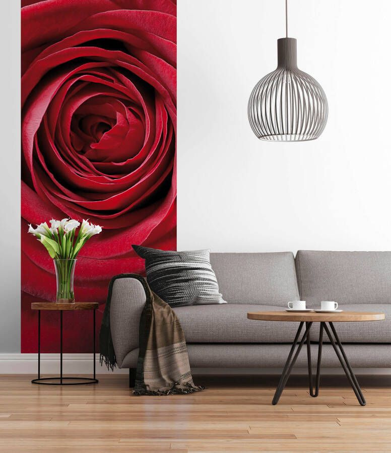 Komar Fotobehang Red Rose grootte 97 x 220 cm (1 stuk)